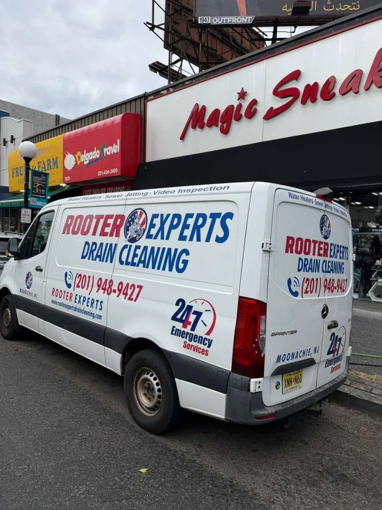 rooter expert and drain cleaning
